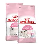 Royal Canin Kitten Droogvoer