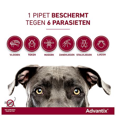 Advantix 40 4 pipetten